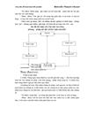 Một số giải pháp hoàn thiện công tác kế toán nguyên vật liệu công cụ dụng cụ tại Công ty cổ phần xây dựng và thương mại127