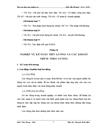 Kế toán tiền lương và các khoản trích theo lương tại Công ty TNHH N G V