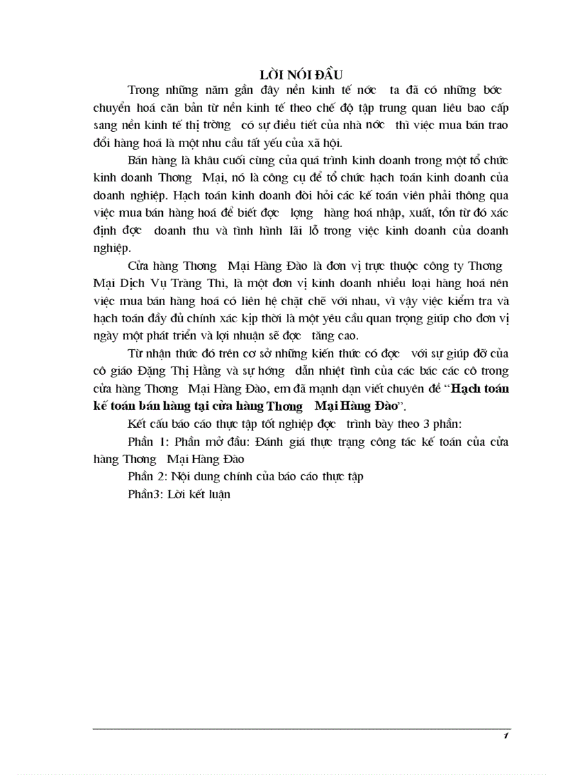 Hạch toán kế toán bán hàng tại cửa hàng Thương Mại Hàng Đào