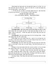 Hạch toán kế toán bán hàng tại cửa hàng Thương Mại Hàng Đào