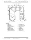 Thiết kế lò hơi đốt than sản lượng 220 tấn giờ kèm bản vẽ