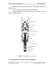 Nghiên cứu cấu tạo nguyên lý làm việc quy trình bảo dưỡng máy bơm khoan 12 P 160 National Oil Well