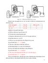 Lịch sử phát triển của hệ thống phun xăng khai thác lắp đặt mô hình hệ thống phun xăng điện tử trên động cơ 4s fee