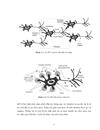 Thiết kế hệ thống điều khiển dựa trên mạng nơron