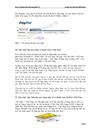 Phương thức thanh toán qua paypal