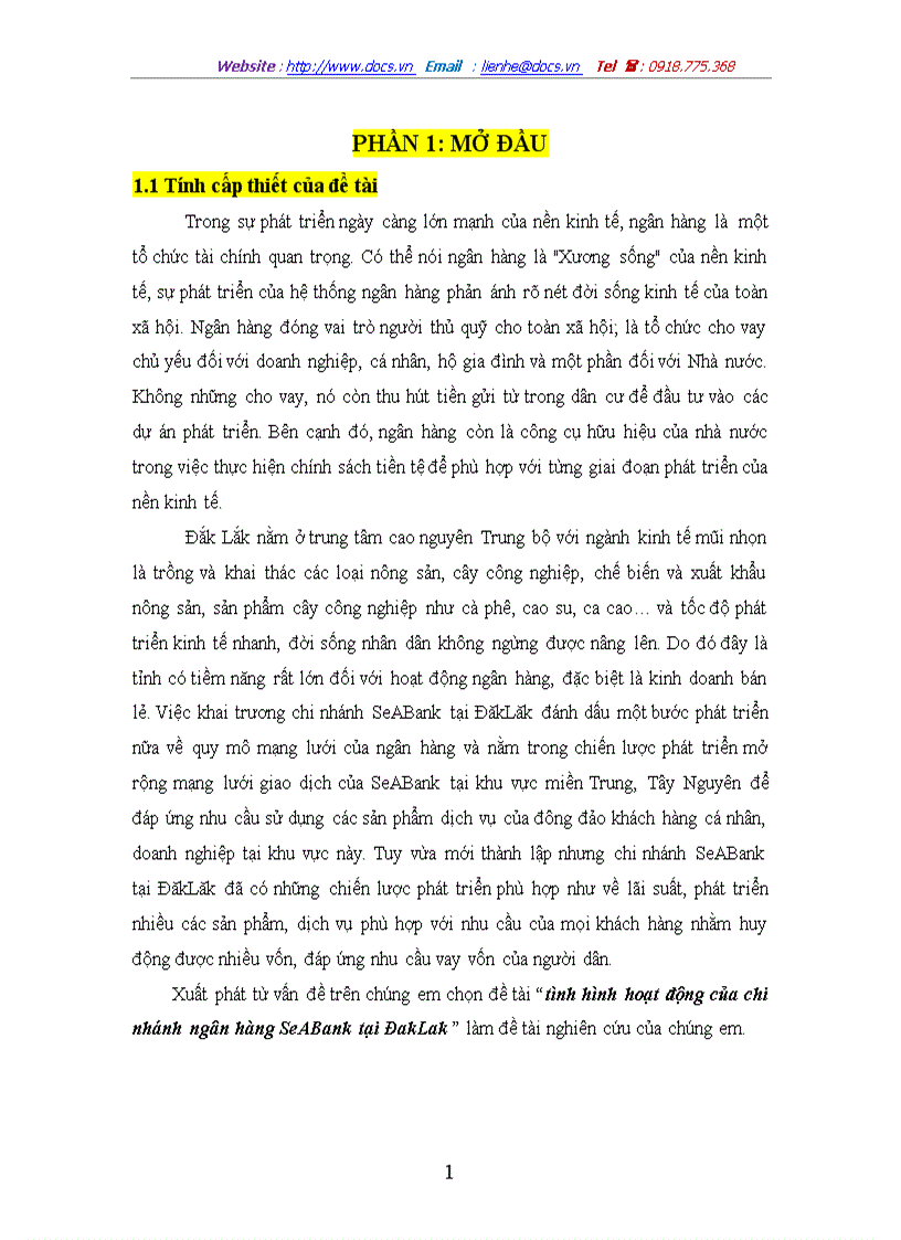 Tình hình hoạt động của chi nhánh ngân hàng SeABank tại ĐakLak