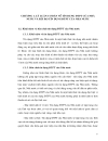 Giải pháp hạn chế rủi ro tín dụng đầu tư phát triển của Nhà nước thông qua chi nhánh Ngân hàng phát triển Vĩnh Long