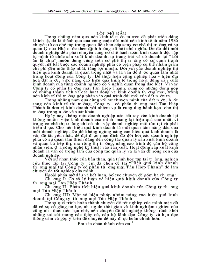 Hiệu quả kinh doanh thương mại tại Công ty cổ phần thương mại Tân Hiệp Thành