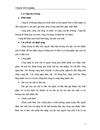 Giải pháp mở rộng thị trường tiêu thụ thức ăn chăn nuôi của Công ty TNHH VIC giai đoạn 2006 2010