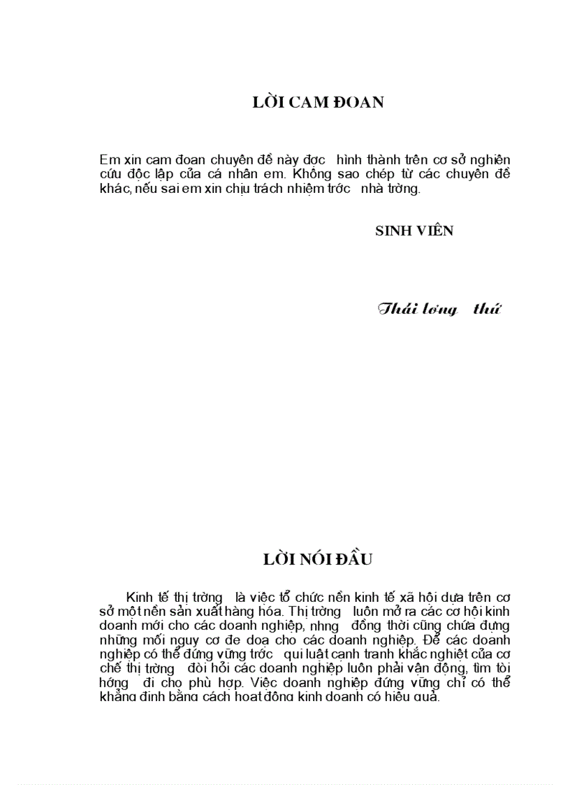 Nâng cao hiệu quả kinh doanh của công ty TNHH Thái Dương