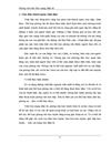 Phỏng vấn trên báo mạng điện tử