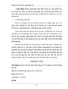 Phỏng vấn trên báo mạng điện tử