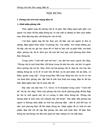 Phỏng vấn trên báo mạng điện tử