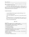 Giải pháp chủ yếu nhằm nâng cao hiệu quả hoạt động xuất nhập khẩu hàng hoá của công ty cơ điện trần phú