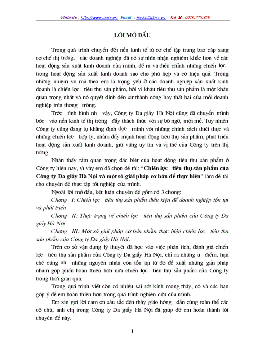 Chiến lược tiêu thụ sản phẩm của Công ty Da giầy Hà Nội và một số giải pháp cơ bản để thực hiện