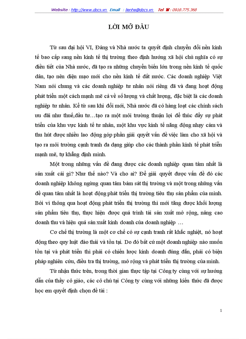 Một số giải pháp nhằm phát triển thị trường tiêu thụ sản phẩm của Công ty TNHH sản xuất thương mại dich vụ Đức Việt