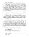 Thực tập tại công ty TrúcThôn