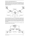 Tìm hiểu khả năng ứng dụng công nghệ chuyển mạch đa giao thức nhãn MPLS trên mạng đường trục Việt Nam