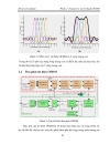 Kỹ thuật điều chế đa sóng mạng Nguyên lý ứng dụng của OFDM