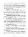 Tương lai của Thành phố hoa phượng giai đoạn 2004 2014