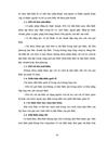Đấu thầu xây lắp