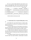 Đấu thầu xây lắp