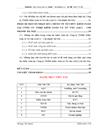 Báo cáo tại Chi nhánh Công ty Kiểm toán và Tư vấn