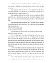 Thực trạng hoạt động nhập khẩu tại công ty VTHH VT