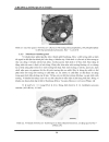 Chuyển hoá nh3 trong bể ươm tôm giống thành no3 nhờ nitrosomonas và nitrobacter cố định trên giá thể bc nhằm nâng cao năng suất thu hoạch