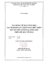 Tạo dòng tế bào nấm men saccharomyces cerevisiae biểu hiện gen mã hóa enzym amylase trên bề mặt tế bào