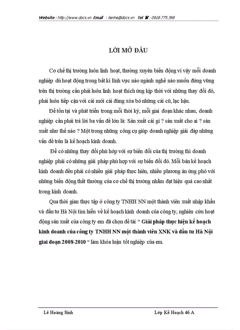Giải pháp thực hiện kế hoạch kinh doanh của công ty TNHH NN một thành viên XNK và đầu tư Hà Nội giai đoạn 2008 2010