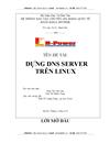 Dựng DNS Server Trên Linux