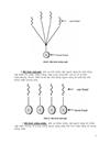 Quản lý luồng trong Unix Win2000