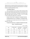 Giải pháp nâng cao chất lượng hoạt động kinh doanh thẻ tại chi nhánh Ngân hàng Ngoại thương Thành Công