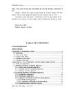 Anew approach to semantic and syntactic functions of English adjectives A contrastive analysis with their Vietnamese equivalents