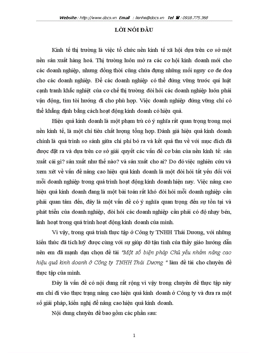 Một số biện pháp Chủ yếu nhằm nâng cao hiệu quả kinh doanh ở Công ty TNHH Thái Dương