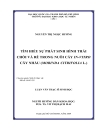 Nghiên cứu tính đa dạng di truyền của quần thể thông đỏ taxus wallichiana zucc tại lâm đồng bằng kỹ thuật sinh học phân tử