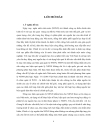 Nâng cao hiệu quả quản lý ngân sách Nhà nước tỉnh An Giang giai đoạn 2006 2010