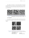 Xây dựng hệ nhiệt CVD và chế tạo mặt nạ nano micro bằng phương pháp NSL