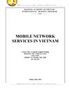 Mobile network services in vietnam lt Eng gt