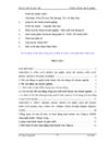 Vốn lưu động và hiệu quả sử dụng vốn lưu động tại Công ty Công nghệ phẩm Thăng Long