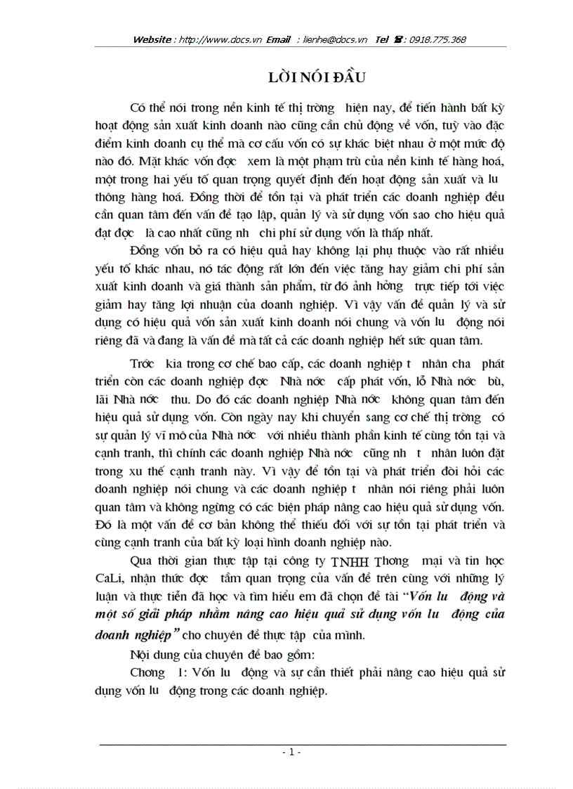 Vốn lưu động và 1 số giải pháp nhằm nâng cao hiệu quả sử dụng vốn lưu động tại Công ty TNHH Thương mại và Tin học CaLi