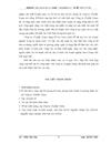 Hoạt động của công ty cổ phần Diana