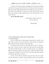 Hoạt động của công ty cổ phần Diana