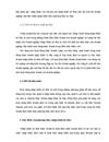 Phương thức nhập khẩu uỷ thác tại Tổng công ty Thành An