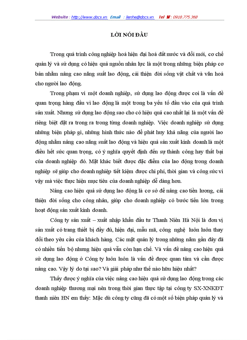 Những biện pháp nhằm nâng cao hiệu quả sử dụng lao động ở công ty Sản xuất Xuất nhập khẩu đầu tư thanh niên Hà Nội