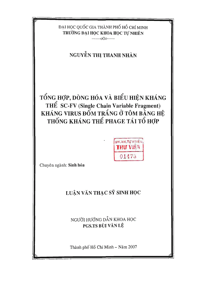 Tổng hợp dòng hóa và biểu hiện kháng thể sc fv Single Chain Variable Fragment kháng virus đốm trắng ở tôm bằng hệ thống kháng thể phage tái tổ hợp