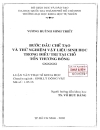 Bước đầu chế tạo và thử nghiệm vật liệu sinh học trong điều trị tại chỗ tổn thương bỏng