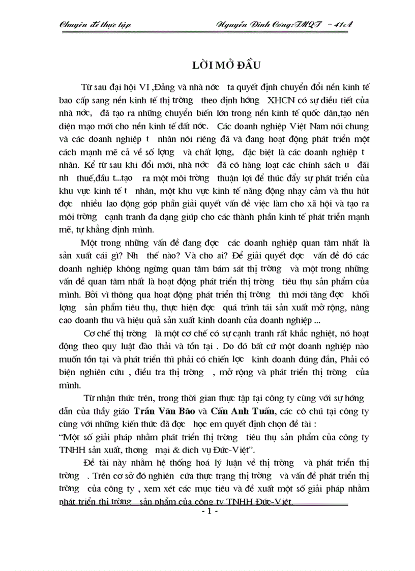 Một số giải pháp nhằm phát triển thị trường tiêu thụ sản phẩm của công ty TNHH Đức Việt