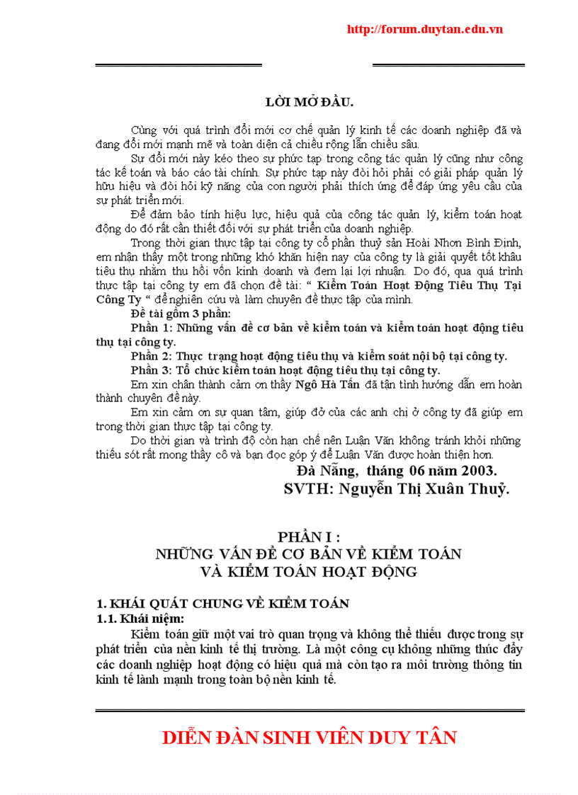 Kiểm Toán Hoạt Động Tiêu Thụ Tại Công Ty